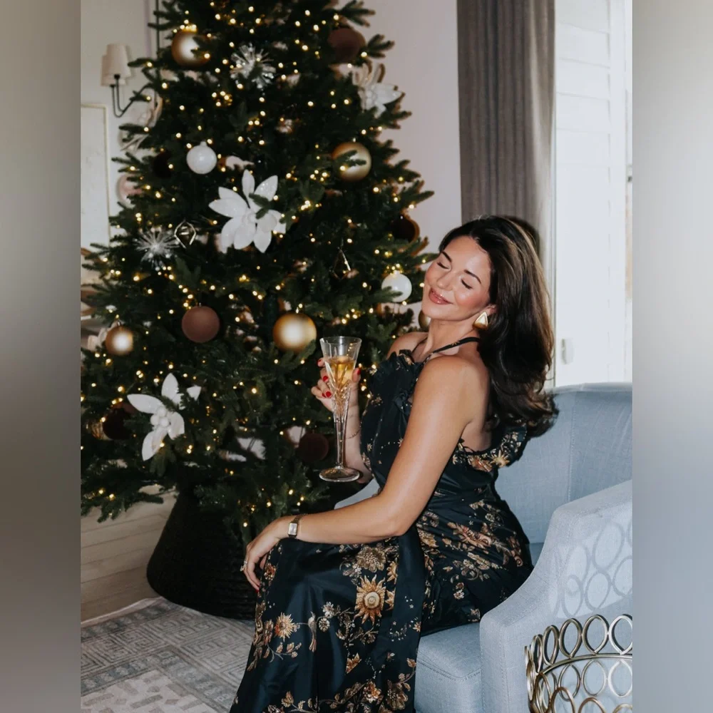 Marie Oliver Keenan Dress NWT - Picture 5 of 5